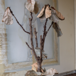 Ficus Anfang 4 3