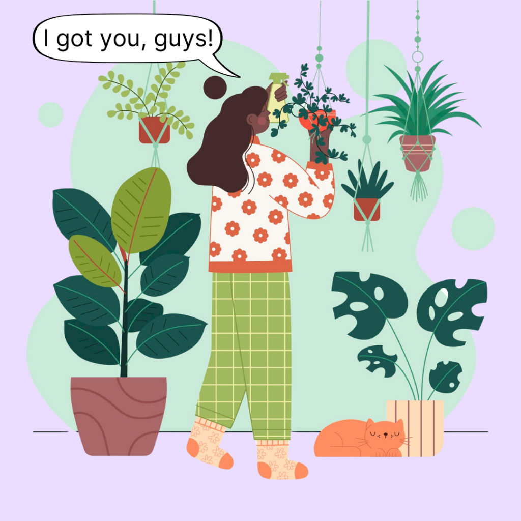 After moving with plants, your plants need extra love