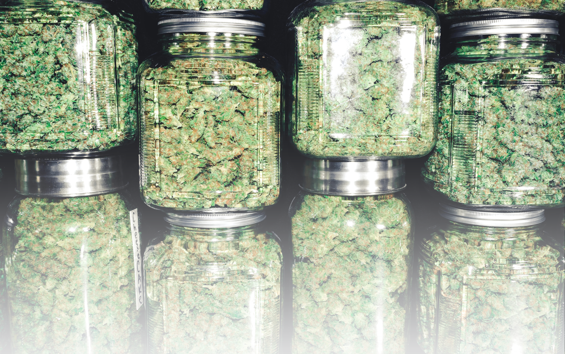 Cannabis Artikel Headerbilder(3)