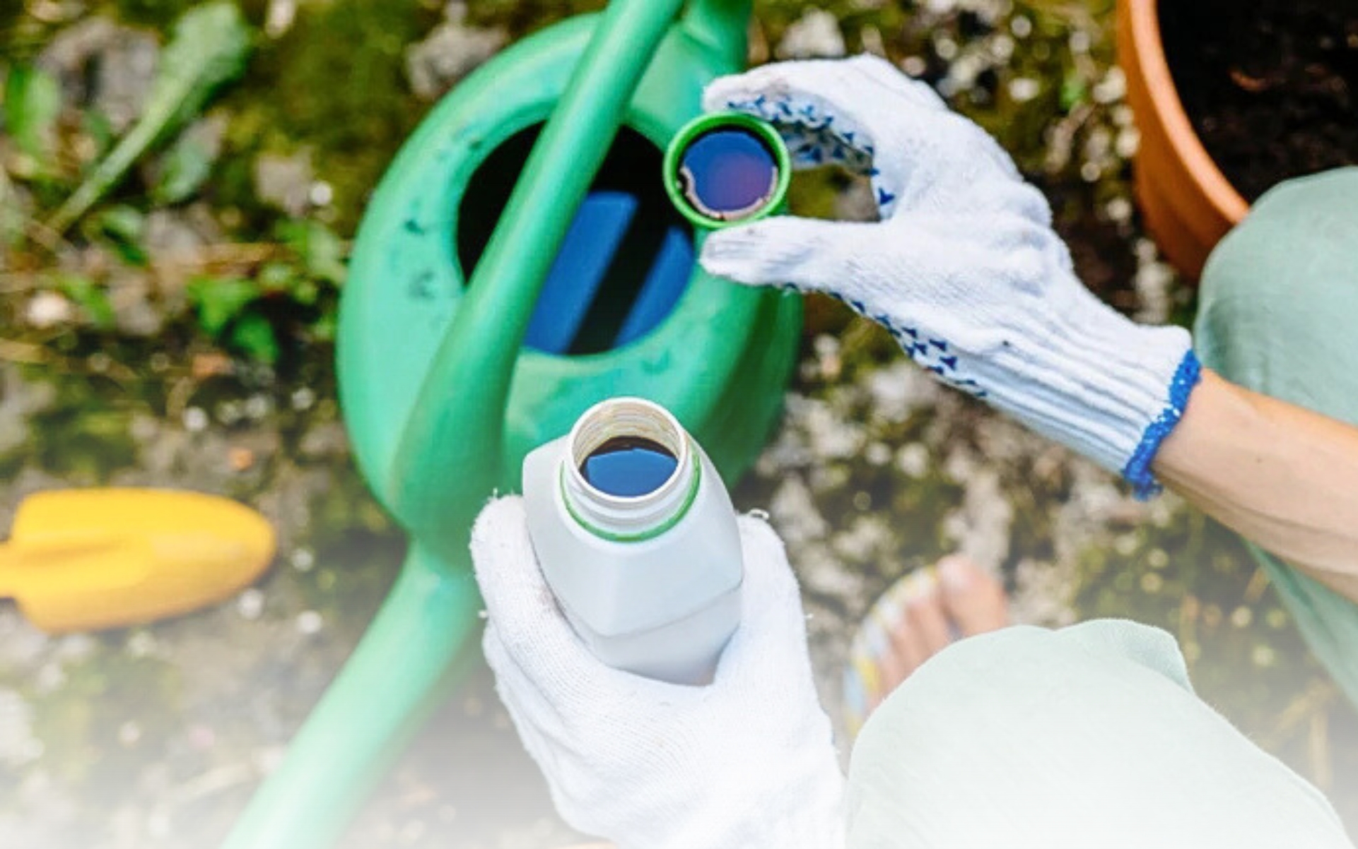 Cannabis Artikel Headerbilder